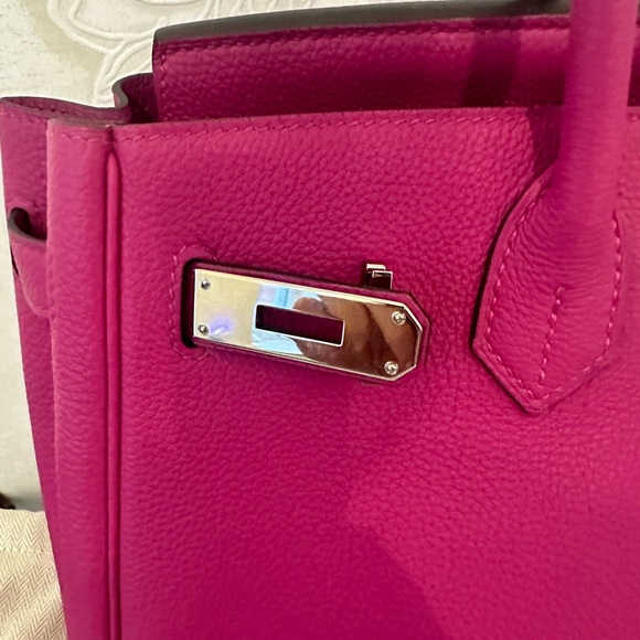 Hermes Birkin 30CM Magnolia Togo Leather with Palladium Hardware - Picture 6 of 16